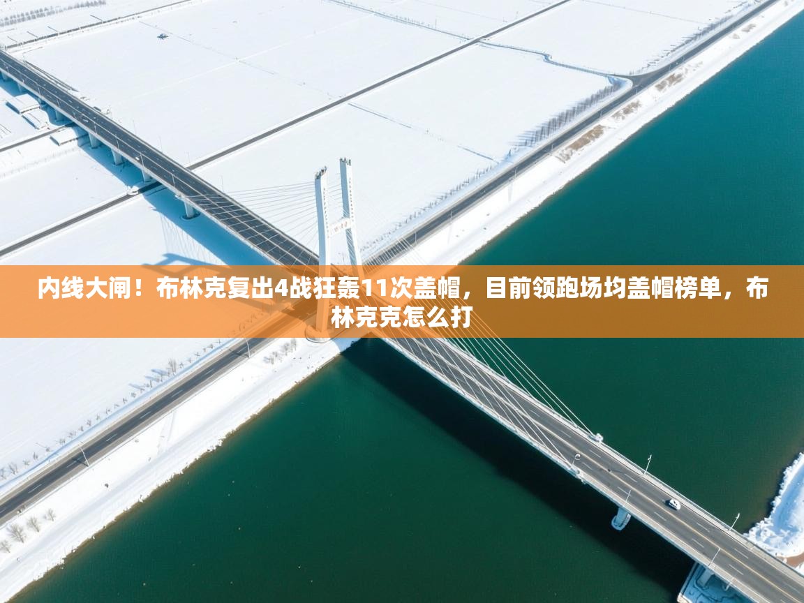 爱游戏影视-内线大闸！布林克复出4战狂轰11次盖帽，目前领跑场均盖帽榜单，布林克克怎么打  第2张