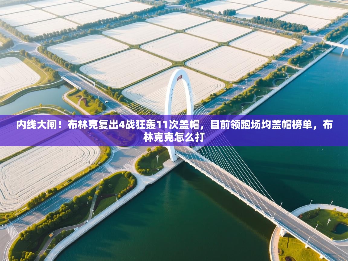 爱游戏影视-内线大闸！布林克复出4战狂轰11次盖帽，目前领跑场均盖帽榜单，布林克克怎么打  第1张