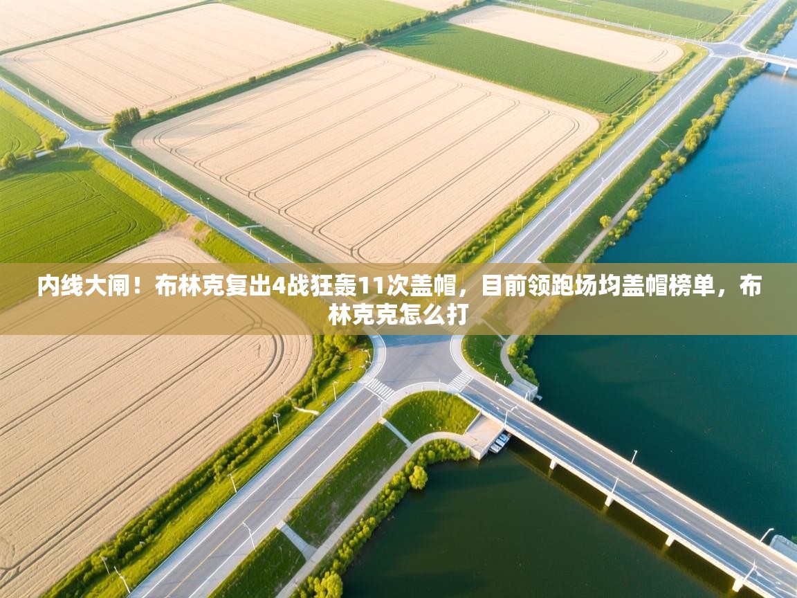 爱游戏影视-内线大闸！布林克复出4战狂轰11次盖帽，目前领跑场均盖帽榜单，布林克克怎么打  第4张